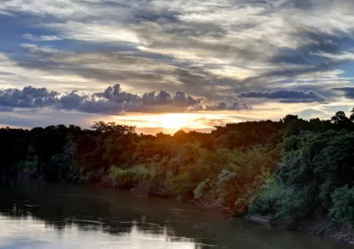 Duas novas áreas ecológicas começam a ser recuperadas em São Paulo