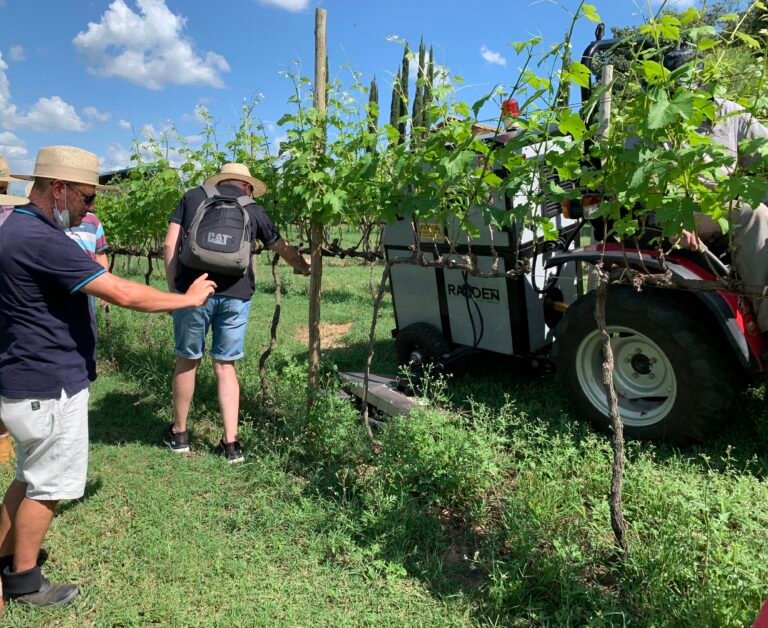 Capina elétrica é opção sustentável ao uso de herbicidas em pequenos cultivos e na cidade