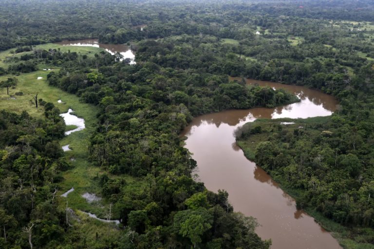 Amazônia pré-colonização europeia parece ter sido mais povoada do que se imagina