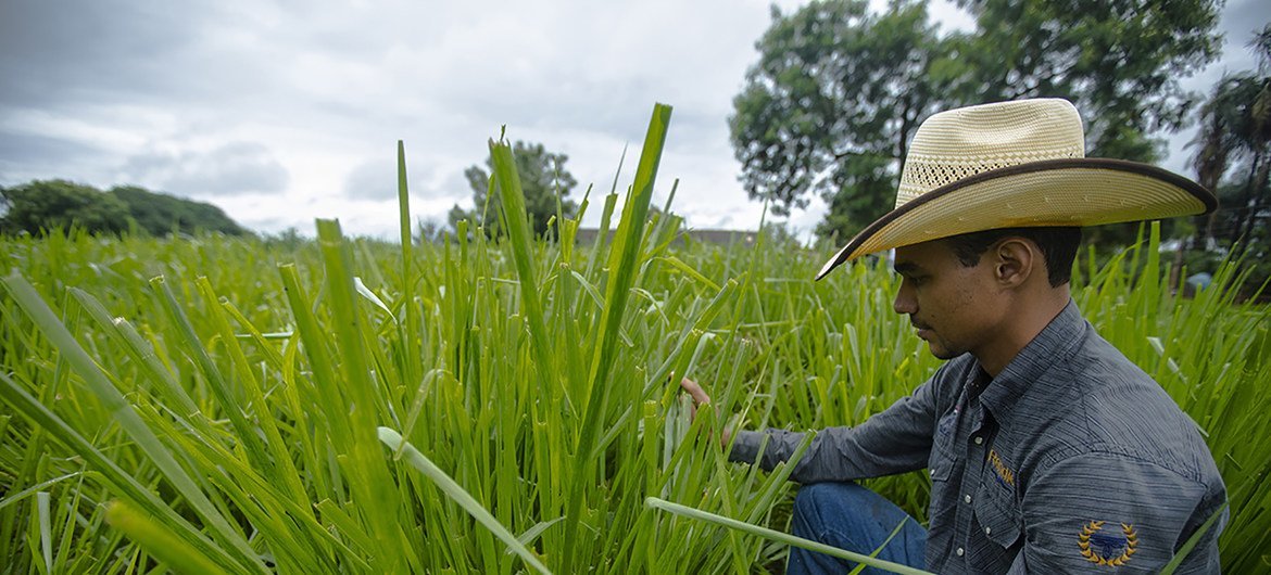 Banco Mundial empresta 500 milhões de dólares para a recuperação do agro em Goiás