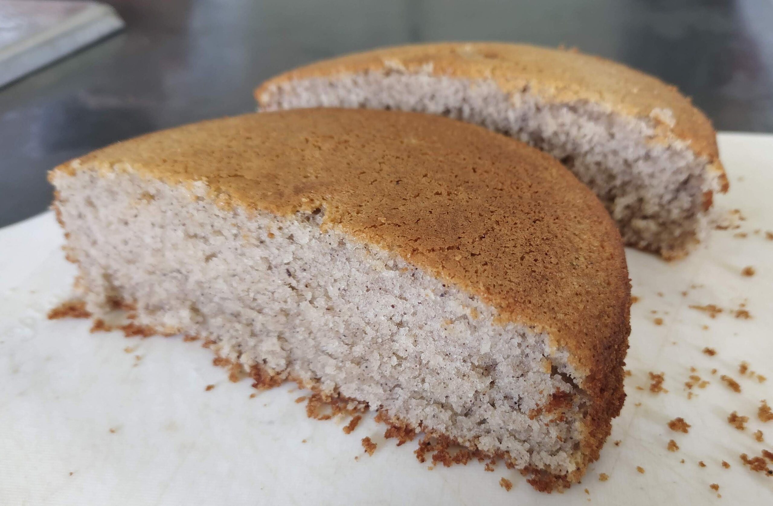 Universidades federais de Minas Gerais desenvolvem pães e biscoitos a partir da macaúba