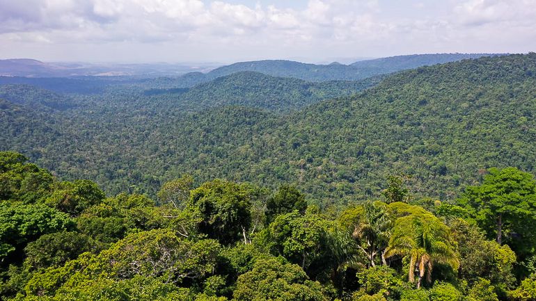 Fundo Amazônia recebe aporte de 35 milhões de euros de banco alemão em contrato com BNDES