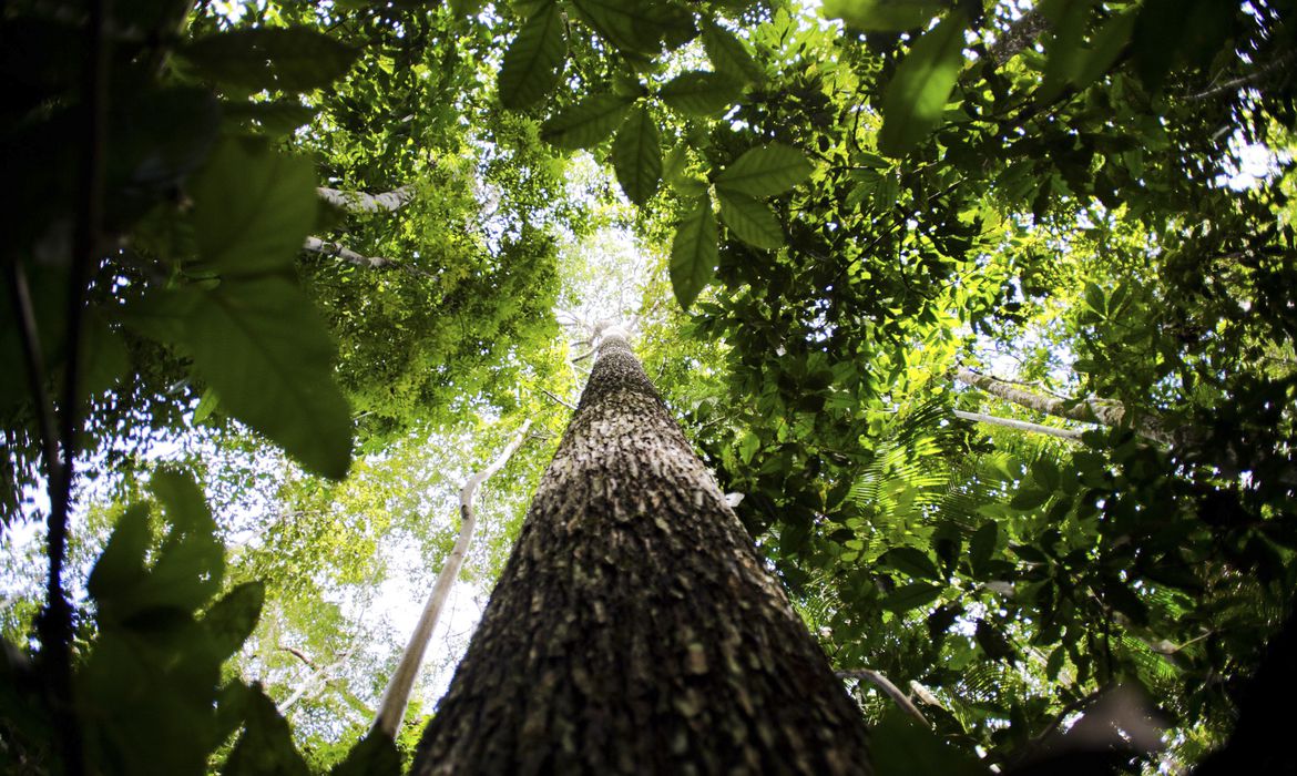 Países mais afetados pelas mudanças climáticas veem acordo da COP29 como uma ofensa