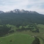 Fragmentação das florestas tropicais aumenta e coloca em risco o clima e a biodiversidade