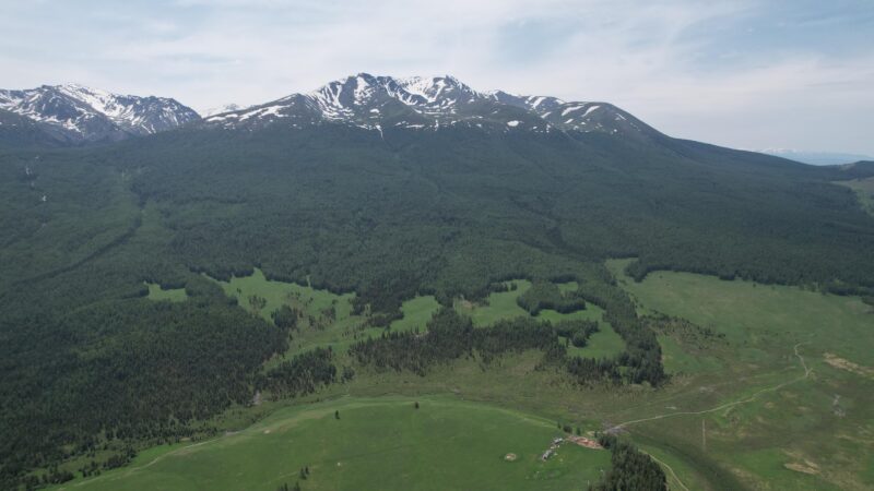 Fragmentação das florestas tropicais aumenta e coloca em risco o clima e a biodiversidade