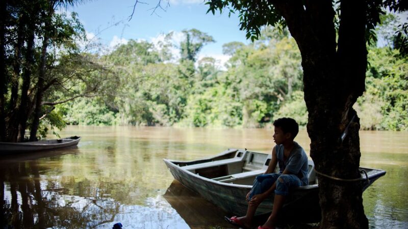 Preparatório para a Cúpula da Amazônia começa hoje em Belém do Pará