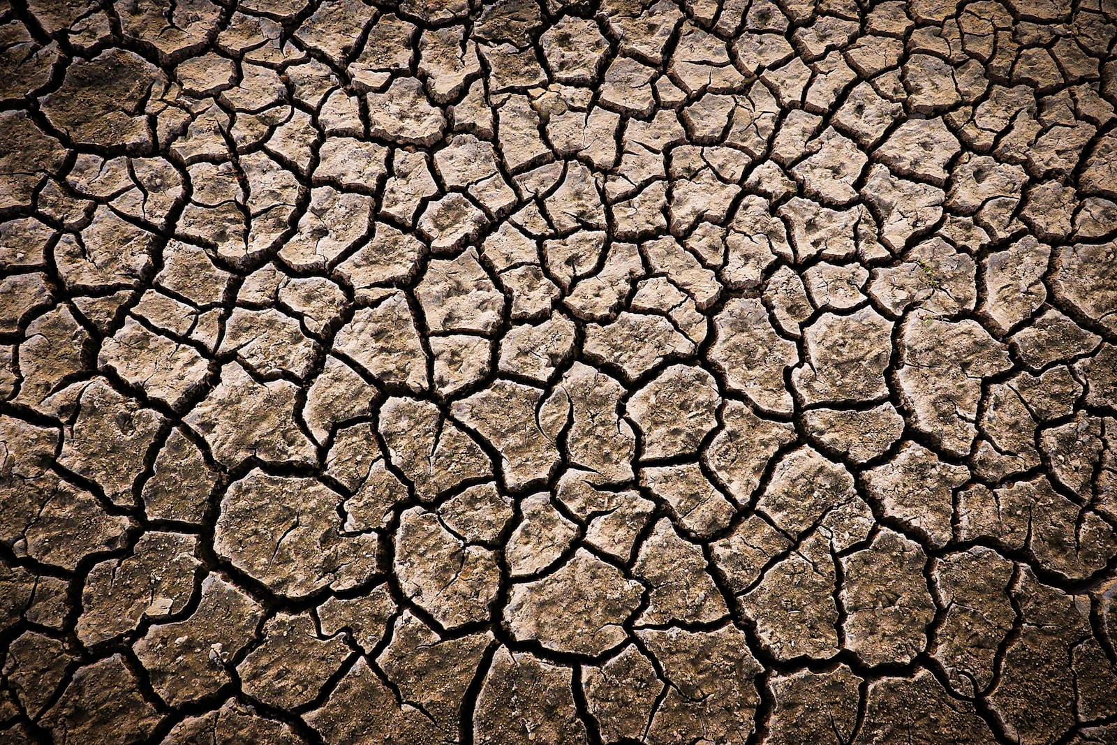 Ministério chama pesquisadores para rede de combate à desertificação