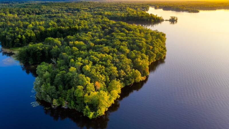 Mudança do clima está levando as árvores da Amazônia a ponto crítico