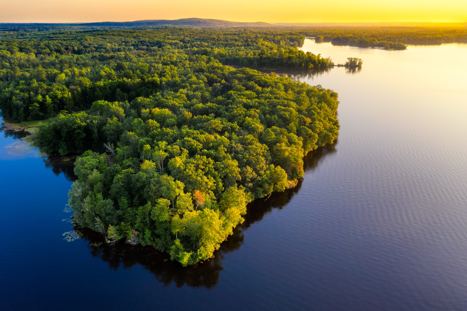 Mudança do clima está levando as árvores da Amazônia a ponto crítico