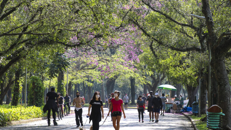 Ibirapuera: associações de bairro se unem contra danos ambientais ao parque