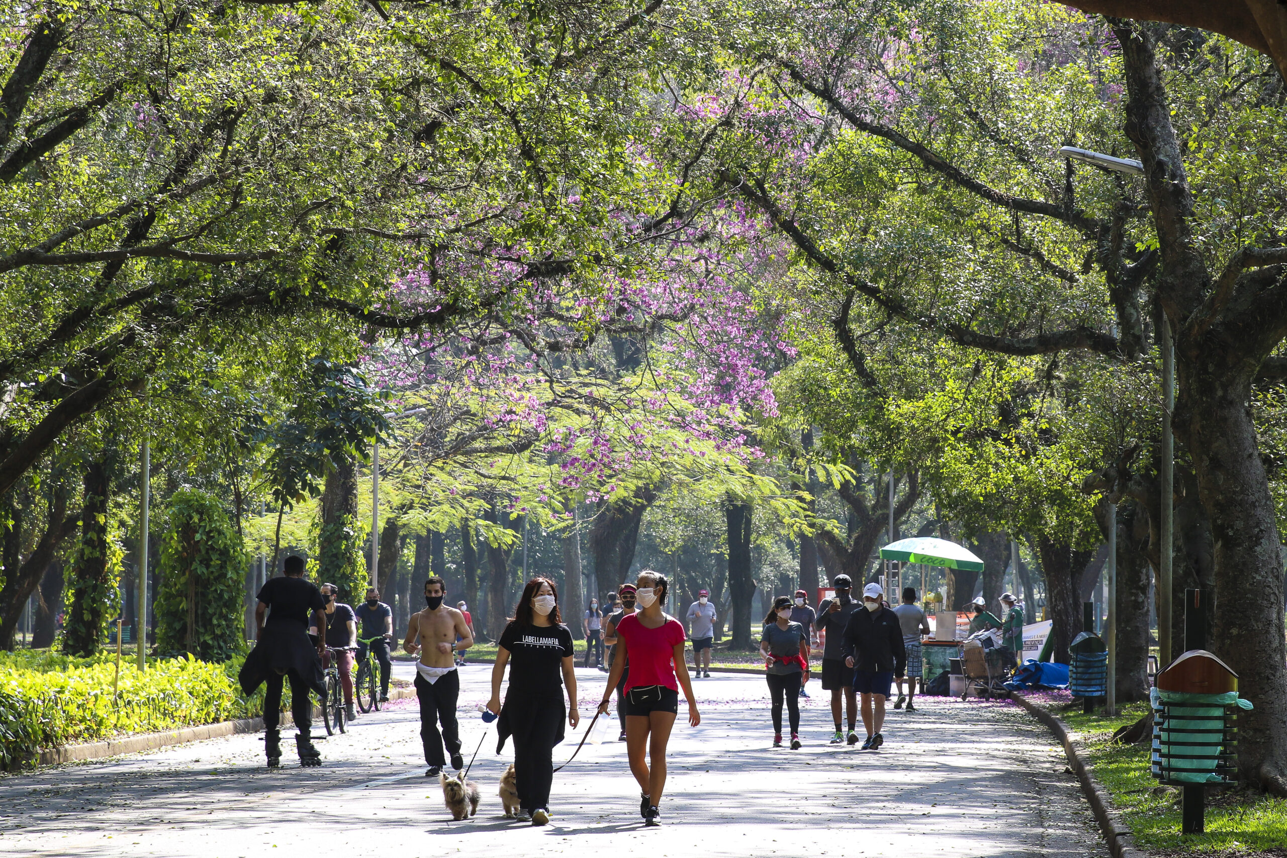 Ibirapuera: associações de bairro se unem contra danos ambientais ao parque