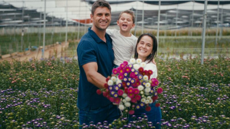 Campanha incentiva presentear as mães com rosas, orquídeas, hortênsias, girassóis…