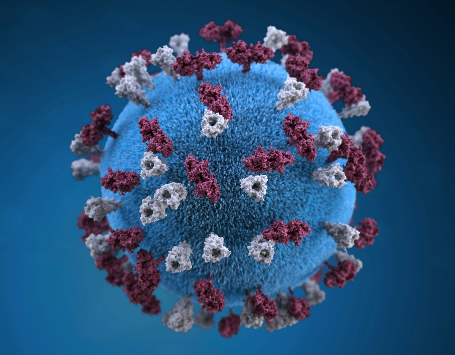 OMS alerta: estamos perdendo a luta contra as bactérias que resistem aos antibióticos