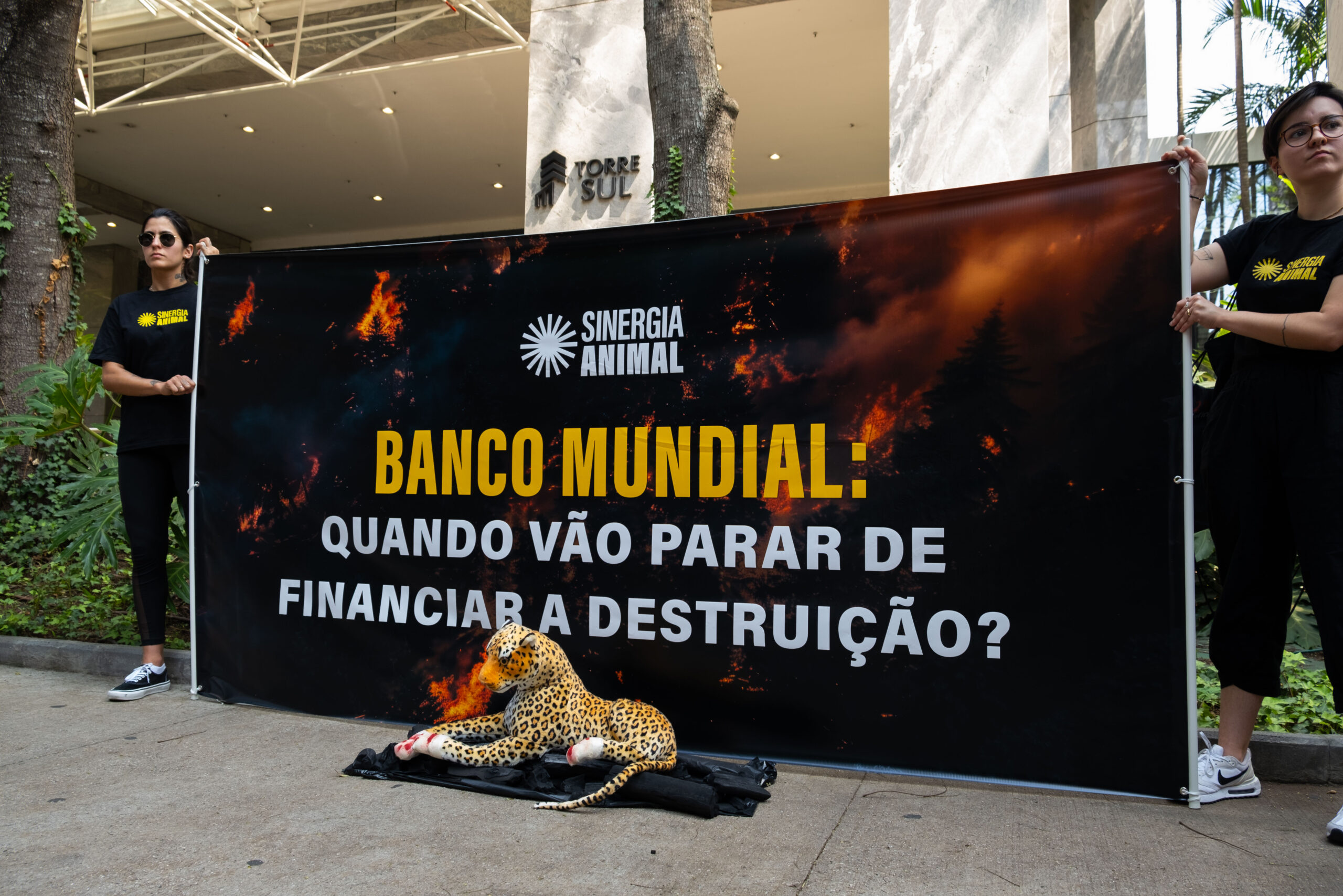 Ativistas pedem que Banco Mundial cancele empréstimo para expansão da pecuária