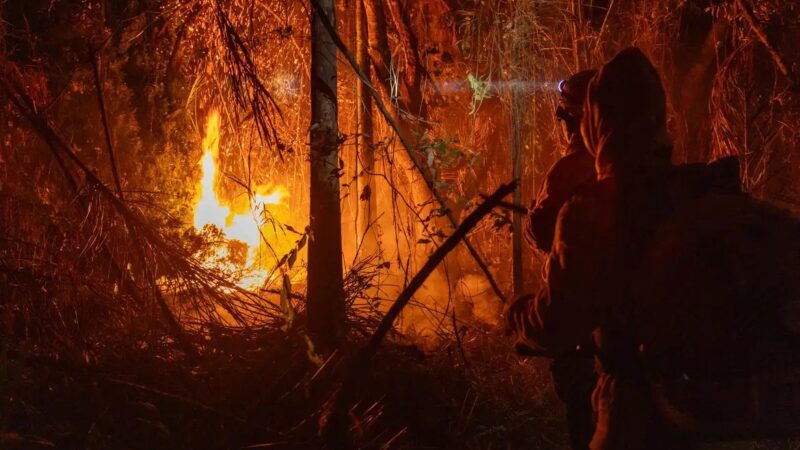 Brasil. Área queimada bate recorde em 2024. Ação humana provocou fogo na floresta amazônica