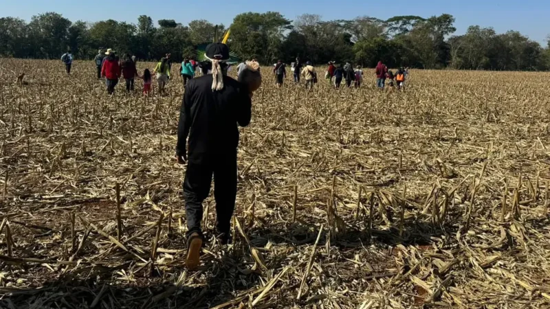 Indígenas Avá-Guarani, alvo de violência no Paraná, pedem proteção ao Ministério da Justiça