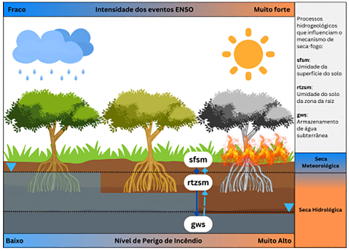 Amazônia. El Niño agrava impacto da seca em águas subterrâneas e eleva risco de incêndio, constata estudo