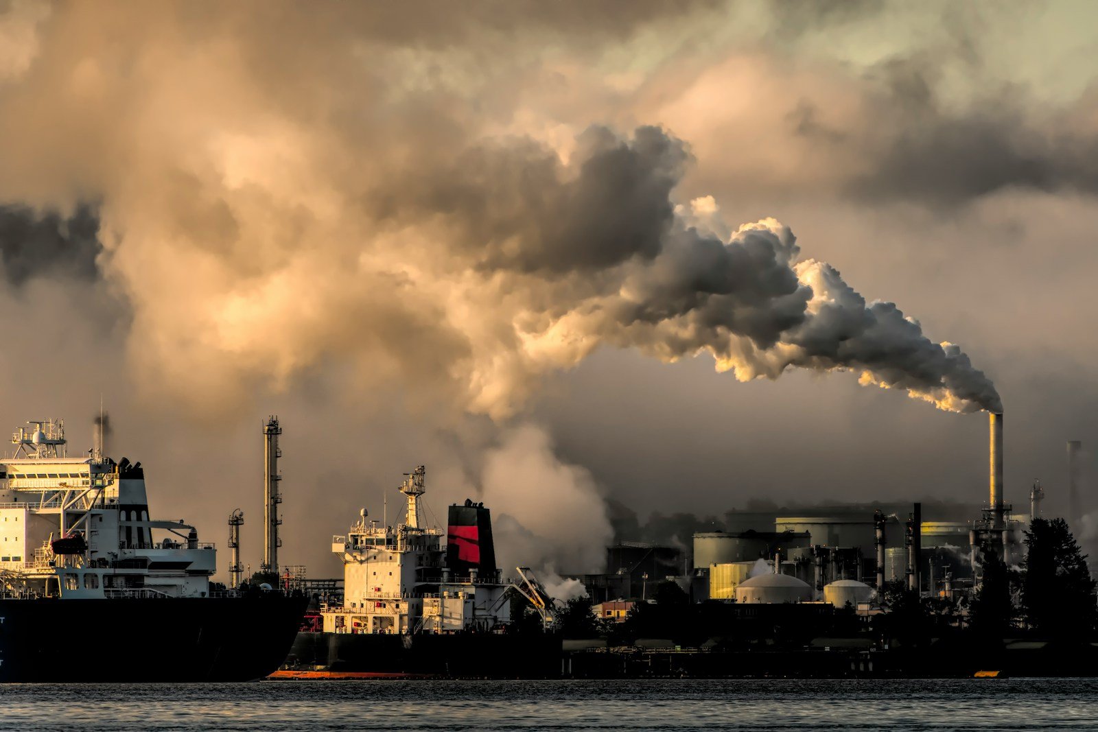 2024 foi o ano mais quente da história: aquecimento global ultrapassou 1,5°C e efeitos já são ‘irreversíveis’