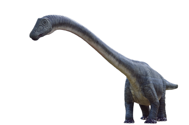 Doença óssea mortal dizimou dinossauros de pescoço longo há 80 milhões de anos no interior de São Paulo
