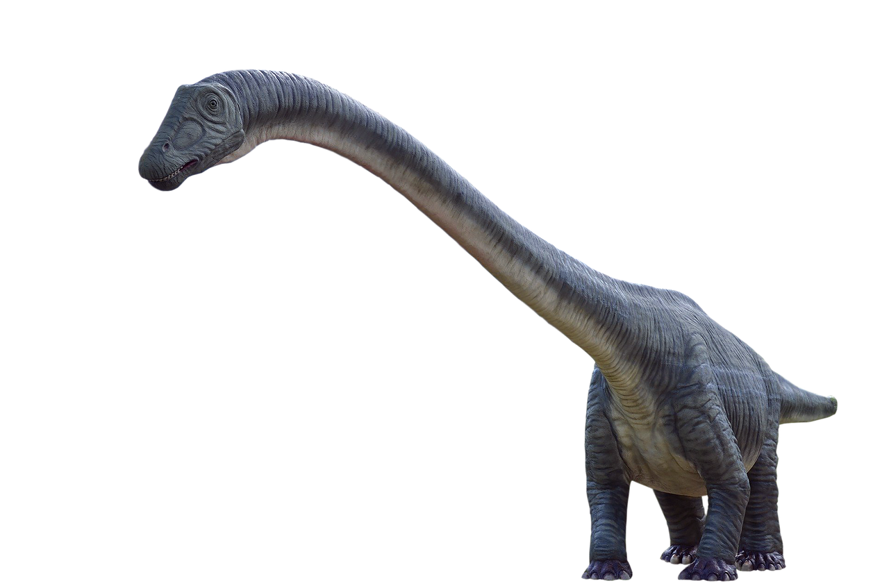 Doença óssea mortal dizimou dinossauros de pescoço longo há 80 milhões de anos no interior de São Paulo