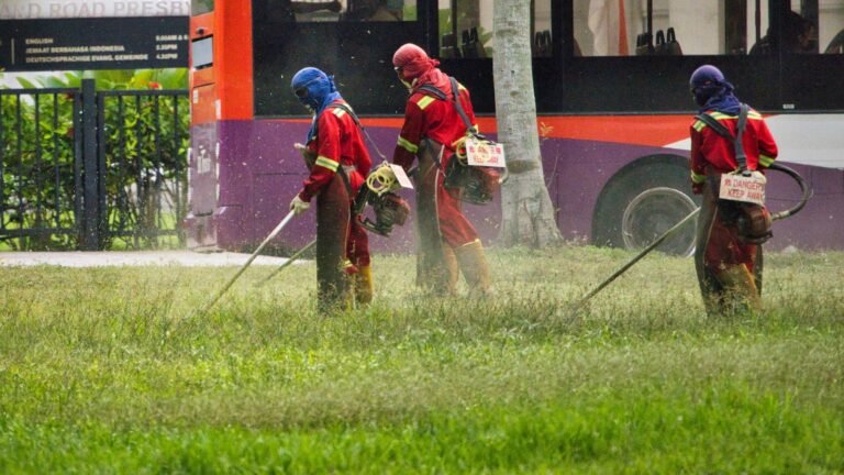 Roundup: artigo fraudado por cientistas e que afeta a humanidade demorou 25 anos para ser denunciado