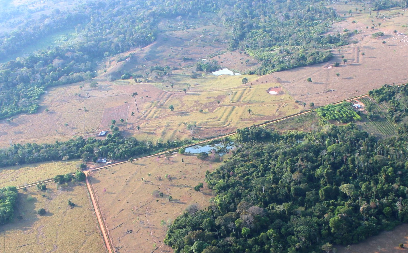 Área do Acre e do Amazonas pode ter sido povoada por milhões de pessoas há mais de 18 séculos, sugere estudo