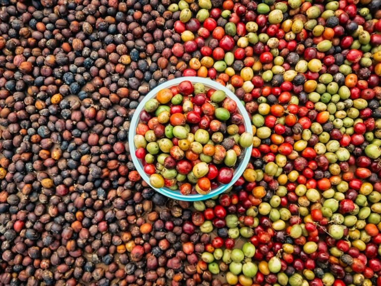 Estudo da União Europeia mapeia exposição do agro brasileiro e pode subsidiar novas exigências sobre importações